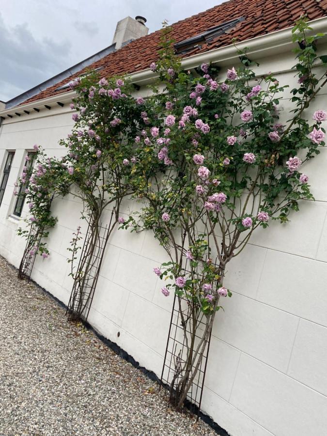 Apartamento Bij Ons Achter Biggekerke Exterior foto